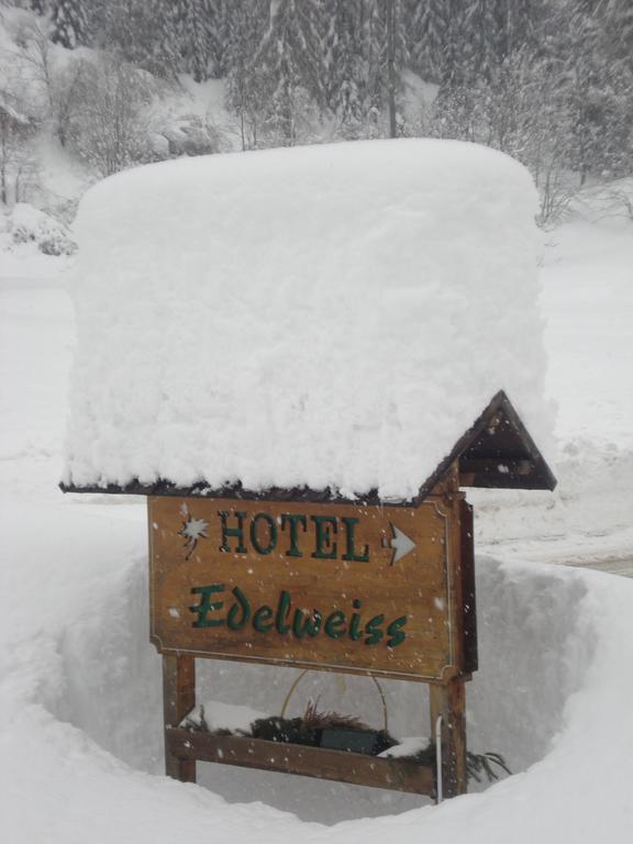 Hotel Edelweiss Val di Zoldo Exterior photo